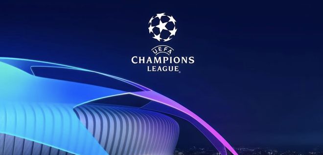 培养的扎实 培养的扎实